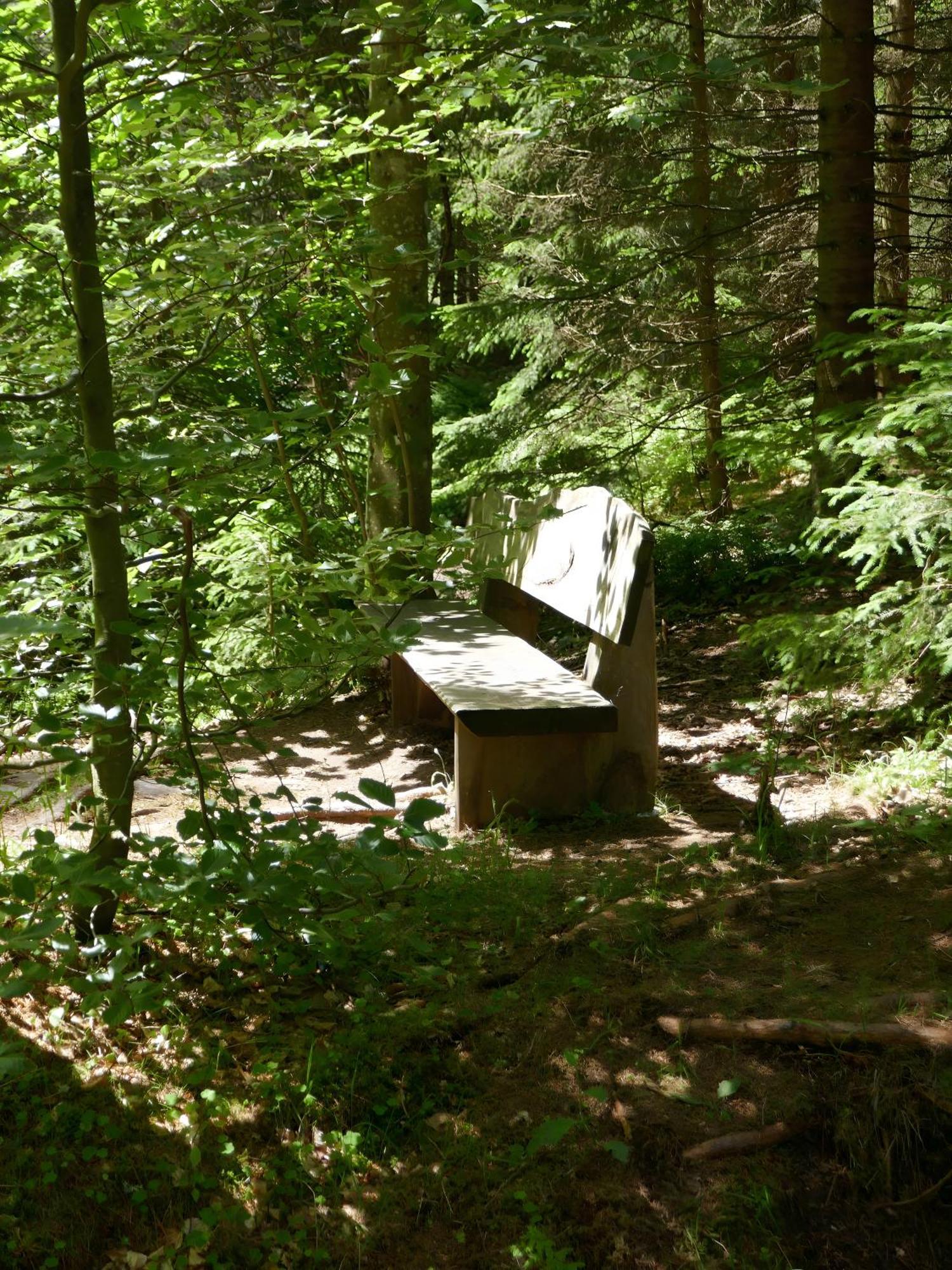 Fewo Furtwangen Exterior foto